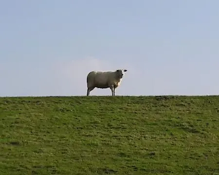 Apartment Schmettau *